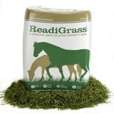 Friendly Readigrass | Horses & Ponies