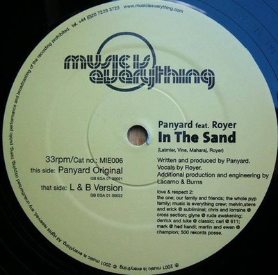 Panyard Featuring Brian Royer - In The Sand (VINYL)