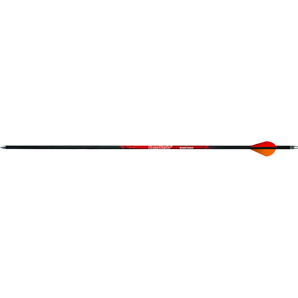 Black Eagle 171 Rampage 0.001 300 Blazer Vanes 6pk Archery Black Eagle 171 Rampage 0.001 300 Blazer Vanes 6pk Archery