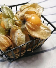 Organic Aunt Molly’s Husk Cherry 100 Seeds Physalis pruinosa Ground Chrry NonGMO