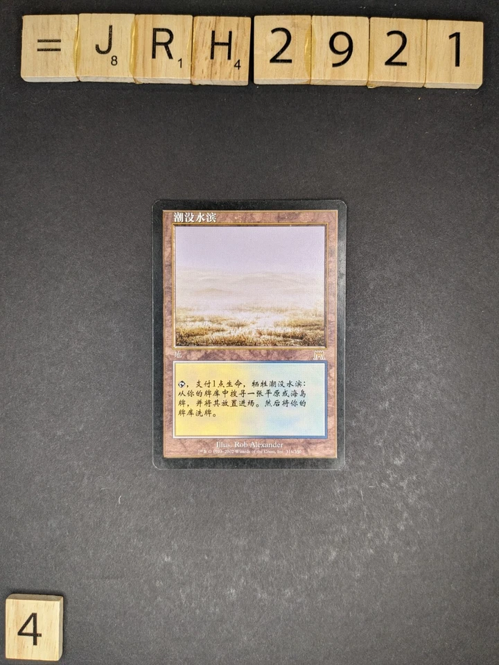MTG Flooded Strand, Onslaught S- CHINESE - Slightly Played +/-, SP 4 available - Image 2 of 3
