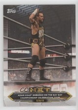 2020 WWE NXT Adam Cole Embarks on the Bay Championship Celebration Tour #4 0b3
