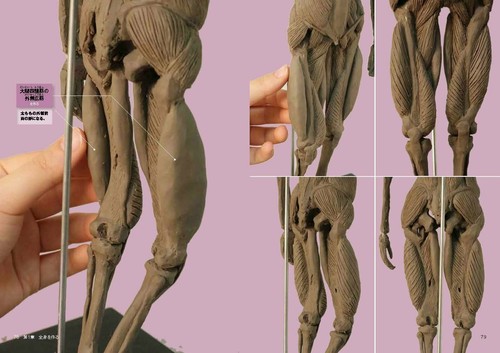 Understand the artistic anatomy by creating a clay statue Japanese Art Book - Picture 4 of 12