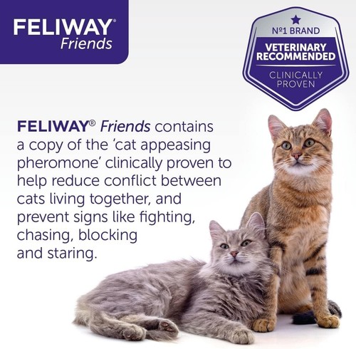 Feliway Friends MultiCat Calming Diffuser Refill 1 pack bulk discount - Picture 6 of 8