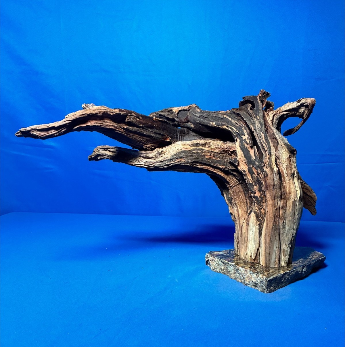 Aquarium Fish Tank Terrarium Aquascape  Manzanita Root Granite Base