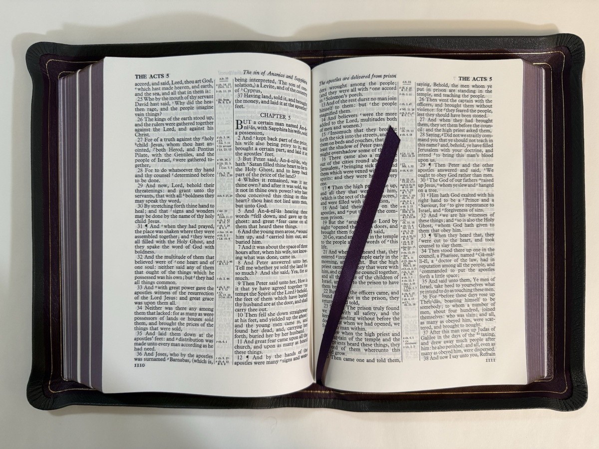 LIMITED EDITION RL Allan 63 KJV TLG Grey Highland Goatskin Bible