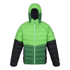 Image of Regatta Mens Harrock II Baffled Padded JacketXL Jasmine Green/Field Green RG907