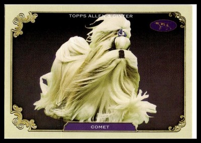 2024 Allen & Ginter #SOS-30 Comet Stars Of The Show Westminster Kennel Club