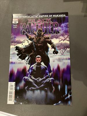 Black Panther #16 (NM)`19 Coates/ Acuna