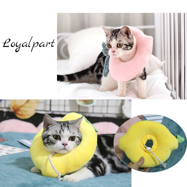 US Pet Dog E-Collar Puppy Cat Elizabethan Collar Bite ...