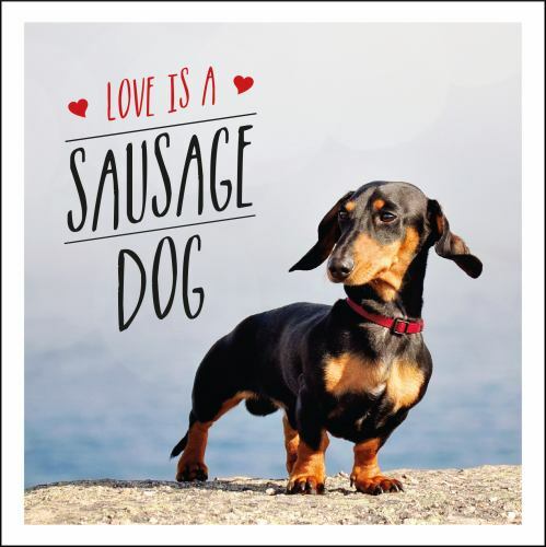 Love is a Sausage Dog: A Pup-Tastic Celebration of Dachshunds - the World's Cute