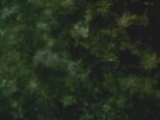 MODA FABRICS WITH MARBLES 6697 "CHRISTMAS GREEN" BTY