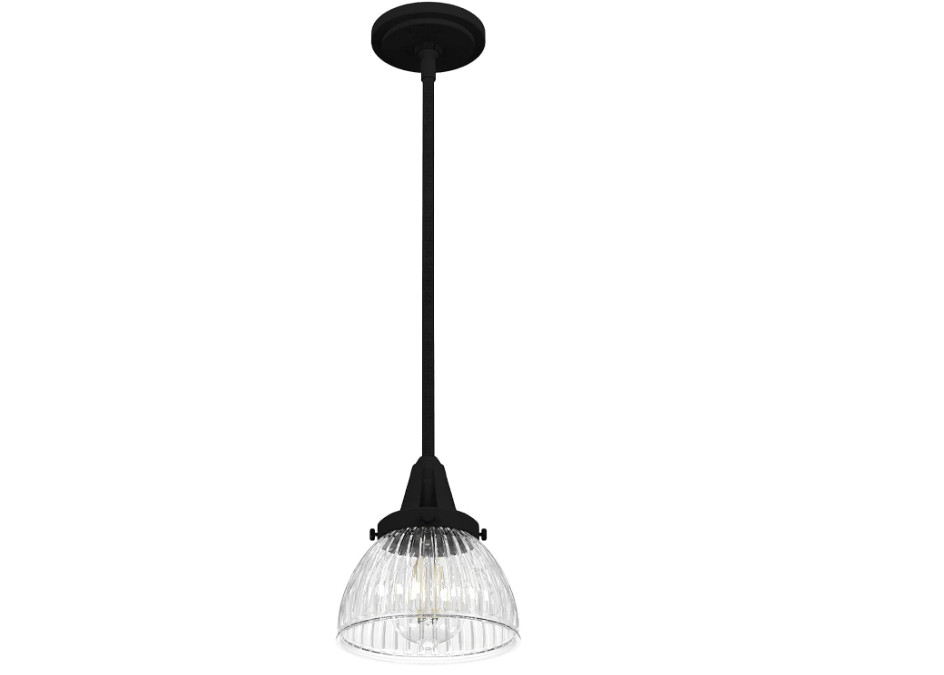 Hunter Cypress Grove 1-Light Mini Pendant in Natural Iron 19229 NEW