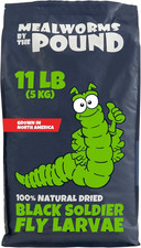 North American Grown Dried Black Soldier Fly Larvae 11 Lbs - More Calcium than