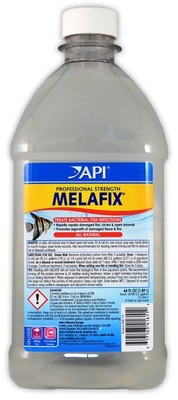 Aquarium Water Treatment for Fungus: Effective Solutions to Save Fish