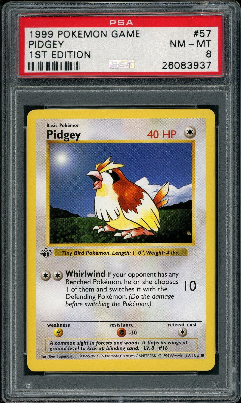 1999 Pokemon Pidgey #57 Base Set 1st Edition Shadowless PSA 8 NM-MT