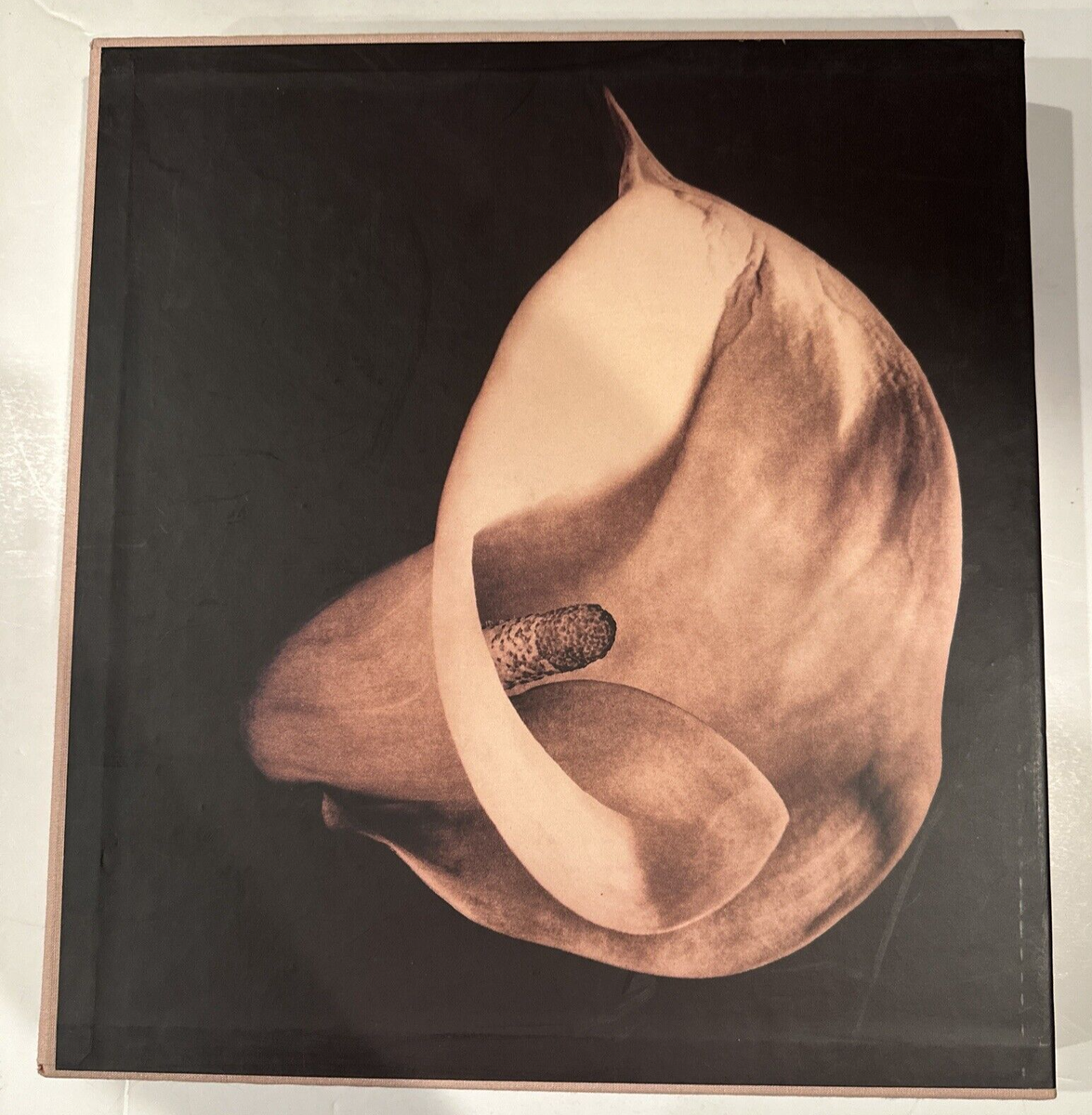 【 PISTILS】Robert Mapplethorpe　新品未読品・美本 PISTILS】Robert Mapplethorpe 新品未読品・美本 Pistils