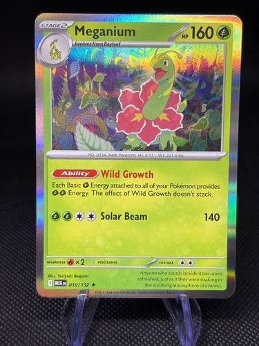 Pokemon - Mega Evolution - Holos - *CHOOSE*