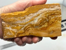 Disaster Peak Picture Jasper Slab Cabbing Lapidary Collecting Combo Ship Avail