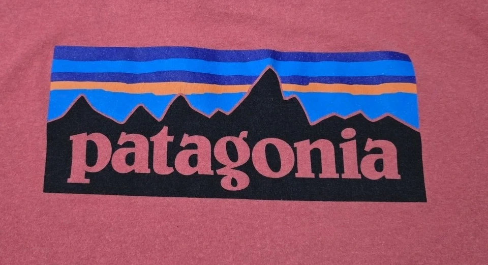 Camiseta Patagonia Doble Cara Logo Gráfico Talla XL Foto 4 de 4