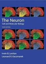 The Neuron: Cell and Molecular Biology