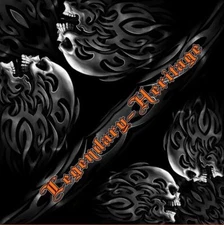 BIKER HEAD BUTT SKULL BANDANA