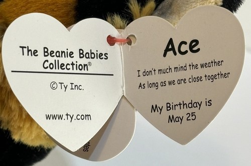 Ty Beanie Baby Bellies ACE il pastore tedesco (6 pollici) - Foto 10 di 13