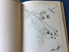 Bild 13 von 20