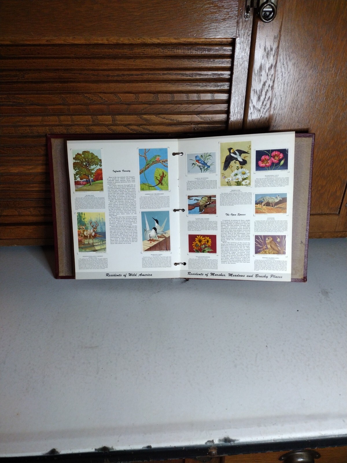 Picture 19 of 24
