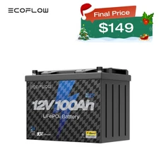 EcoFlow 12V 100Ah LiFePO4 Deep Cycle Lithium Battery BMS For RVs Trolling Motor