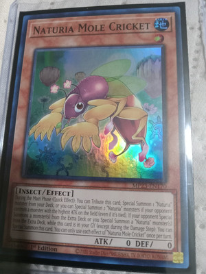 x1 Naturia Mole Cricket MP23-EN170 25th Anniversary Tin: Dueling Heroes