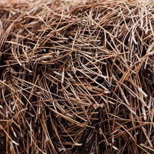 10 Pounds Pine Needles For Garden, Moisture Retention, Erosion Control, Crafts