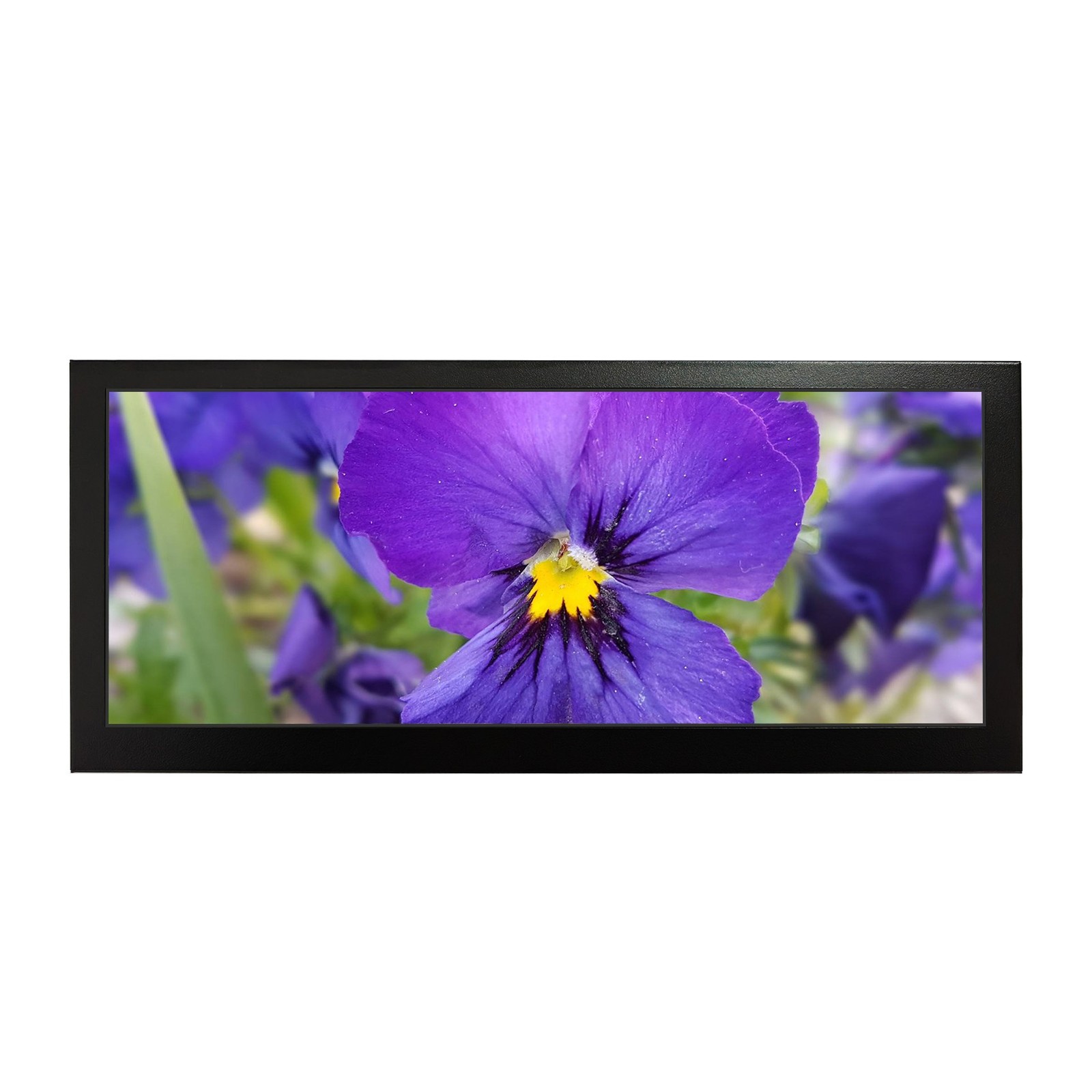 10.3 Inch 1920x720 VS103ZJ05 IPS LCD Monitor with Min H/D USB-C/Type-C Input