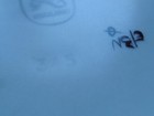 Bild 11 von 11