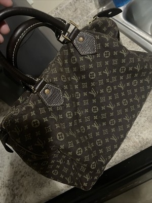 Louis Vuitton Speedy Cloth Monogram