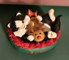 Bild 4 von 12