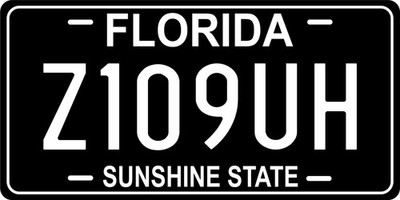 Florida Blackout Personalized Custom License Plate Car Motorcycle Bike