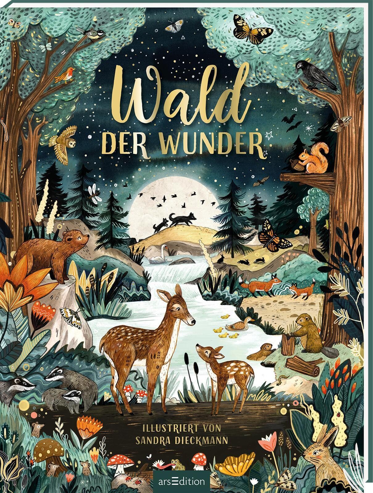 Sandra Dieckmann ~ Wald der Wunder - Bild 2