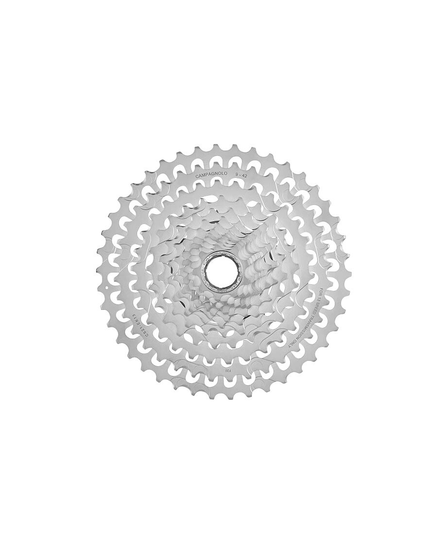 PACCO PIGNONI CAMPAGNOLO EKAR 13V 9-36