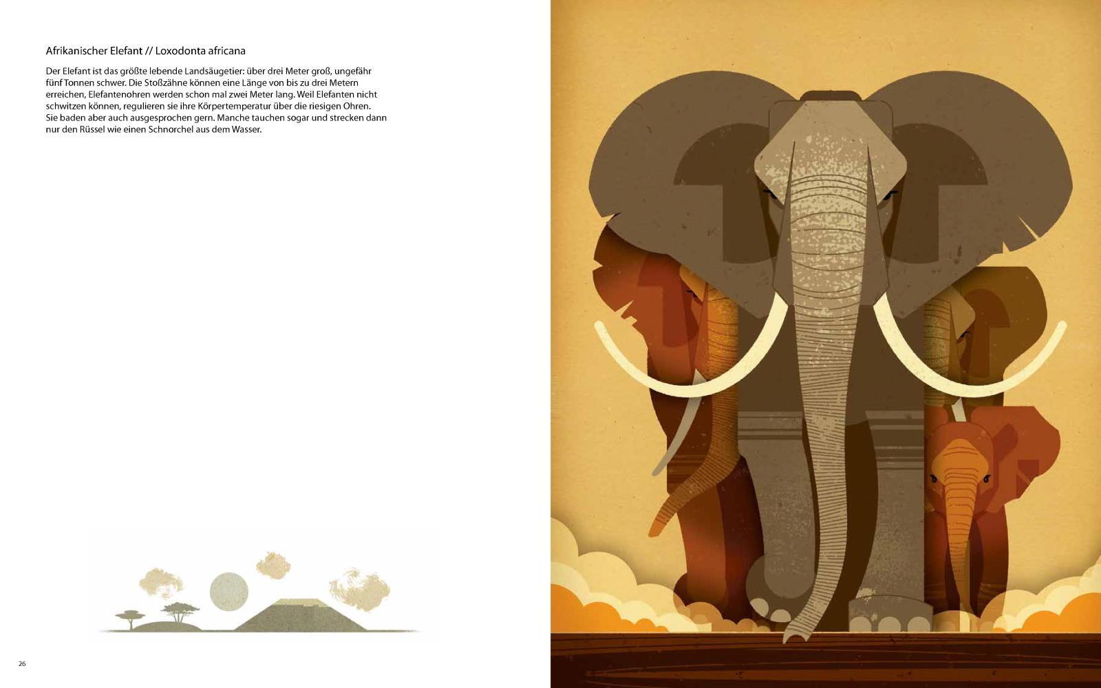 Thumbnail - Die Welt Der Wilden Tiere, Dieter Braun