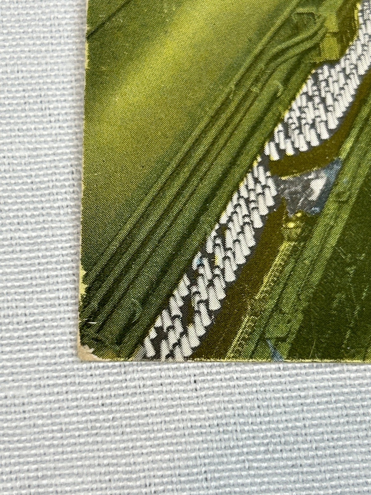 Picture 4 of 7