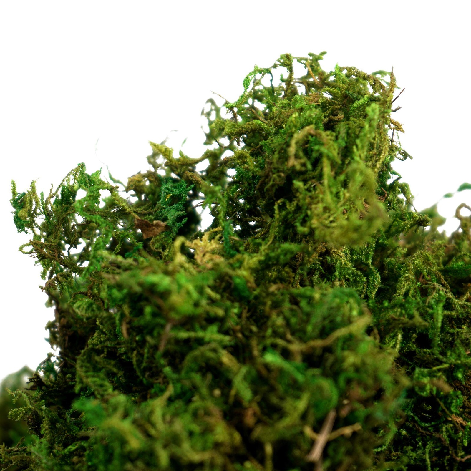 Artificial Moss Fake Green Grass for Centerpieces Home Kitchen Garden Decor (