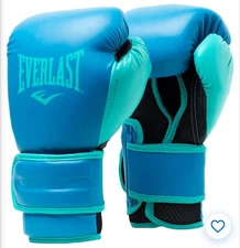 Everlast PowerLock 2R Training Hook & Loop Boxing Gloves 16 Oz - Blue