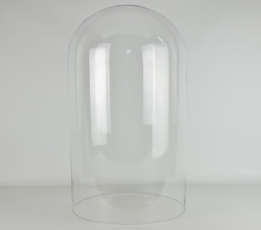 Large Handmade Mouth Blown Clear Circular Glass Display Cloche Bell Jar Dome ...