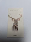 Cigarette card  wills -wild animals heads  - No 17 - free postage - lot  1021