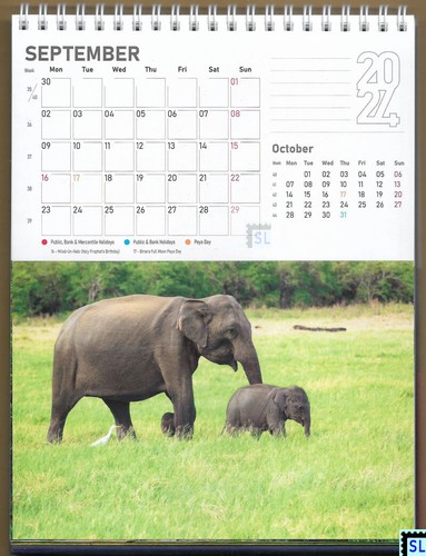 Sri Lanka, Desktop Calendar, Desk, 2024, 28 Picture Pages, Local Holidays - Picture 5 of 5