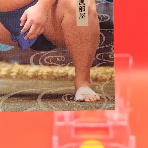 Tarjeta coleccionable Tobizaru Masaya/luchador de sumo BBM TCG Japón japonés #23 - Imagen 5 de 10