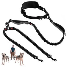 Hands Free Bungee Dog Leash for Two Large Dogs Reflective Dual Handles