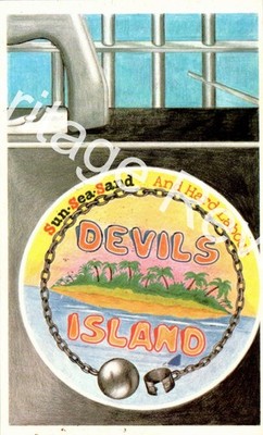VINTAGE TEUFELSINSEL FRANZÖSISCH-GUAYANA GEFÄNGNISSTRAFE DODO DESIGNS 1980 POSTKARTE