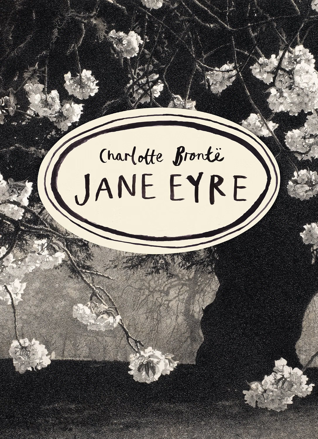 Jane Eyre (Vintage Classics Bronte Series): deluxe gift edition of Charlotte Br - Image 8